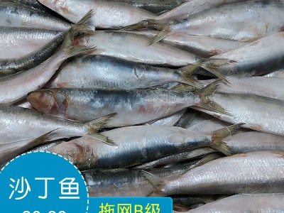 速冻水产拖网B级80-90条沙丁鱼海捕速冻萨丁鱼罐头材料冻品
