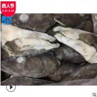 银鳕鱼头 南极犬牙鱼头约600-800g半个 红烧剁椒鱼头煲