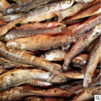湖南特产整条烟熏烤鱼 火焙鱼一箱40斤 鱼干鱼现货产地批发