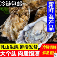 乳山新鲜生蚝鲜活海鲜水产海蛎子贝壳新鲜牡蛎带壳特大肥美新鲜