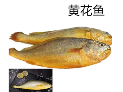 黄花鱼 新鲜冰冻黄花鱼 鲜活大黄花鱼3-4/条 海鲜黄花鱼