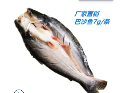 巴沙鱼 烤鱼湄公鱼 麻辣鱼片 8-10条龙利鱼20斤/件 海鲜 凌波鱼