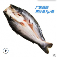 巴沙鱼 烤鱼湄公鱼 麻辣鱼片 8-10条龙利鱼20斤/件 海鲜 凌波鱼