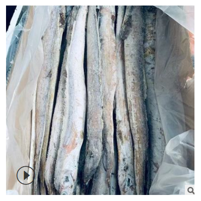 新货渤海湾带鱼海鲜生鲜钓带 小眼钓带品相好 三指宽整条整箱