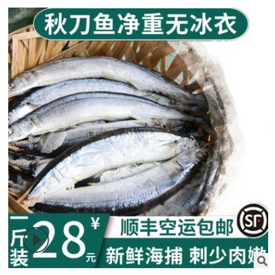 冷冻秋刀鱼烧烤食材批发秋刀鱼新鲜鲜活海鱼水产海鲜排档酒店供货图3