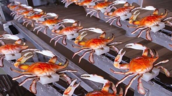 国外发明海鲜加工神器，一天处理10000斤螃蟹，卖给中国的占八成